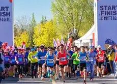  马拉松夜战：庐州飞鹰队翻盘漠南犀牛队，临门一脚致胜韧性与执行并存-爱游戏体育